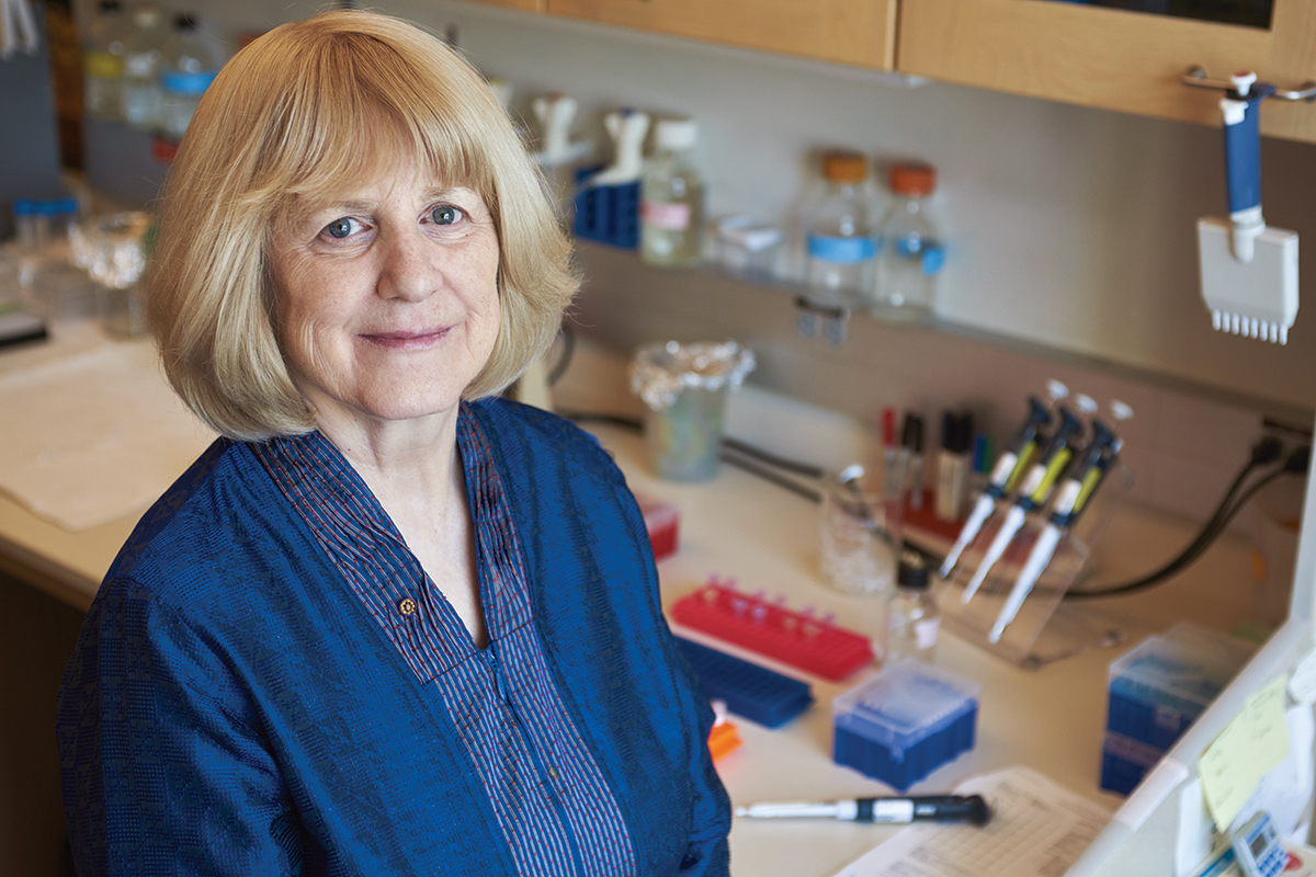 Photo courtesy of Mary-Claire King