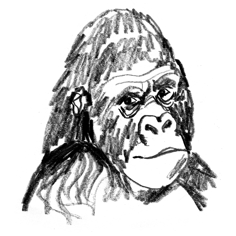 Lauren Tamaki illustration for Foreign Policy